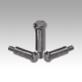Spring plungers with head and pressure pin, steel