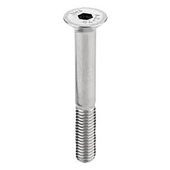 DIN 912/ Tornillos de acero inoxidable A2/ Biba Tornillos cil/índricos M1,6/ hasta M12/ con muesca hexagonal