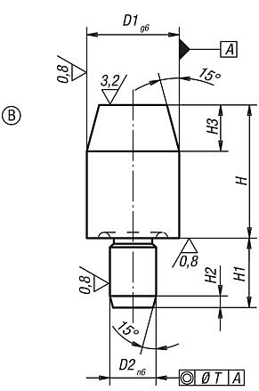 Cimblot cylindrique, Forme B