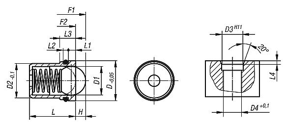 Spring plungers with detent ring