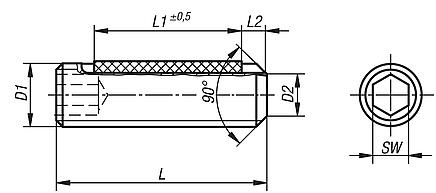 Grub screws with hex socket and flat point DIN EN ISO 4026, with thread lock