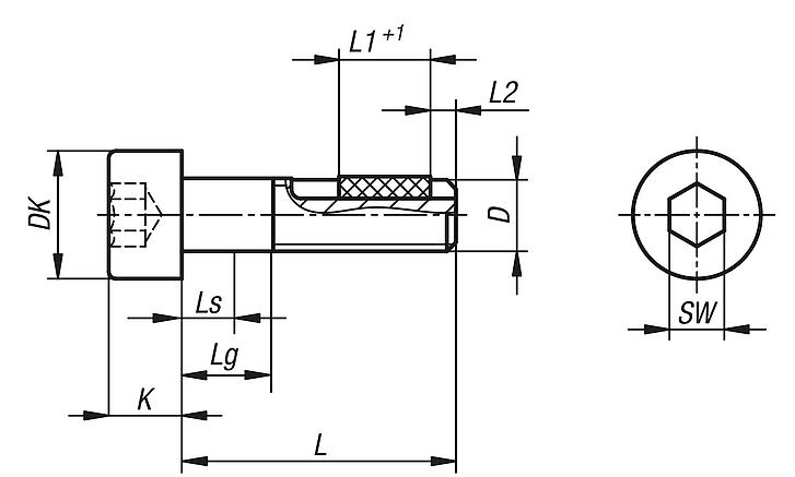 Vis CHC à six pans creux DIN EN ISO 4762 avec frein-filet