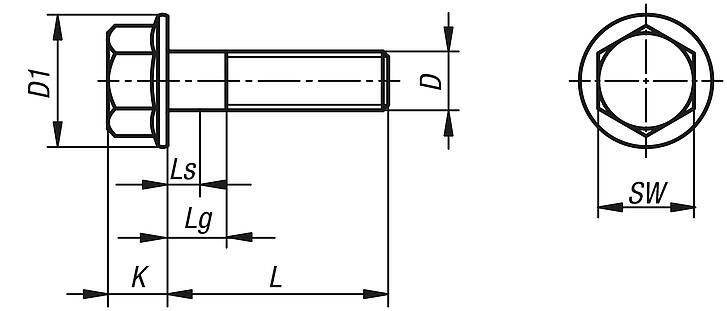 Hexagon head bolts with flange DIN EN 1665