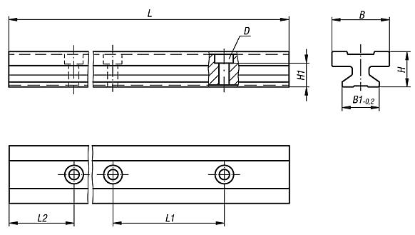 Guide rails DryLin® T