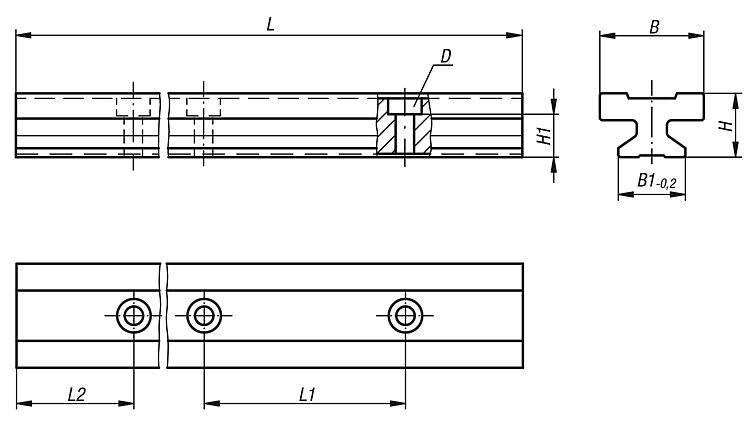 Guide rails DryLin® T