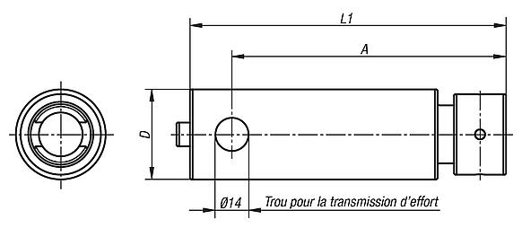 Arbre d'adaptation