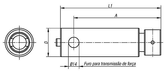 Eixos de adaptação