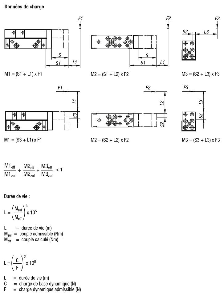 Module linéaire pneumatique à guidage sur rail