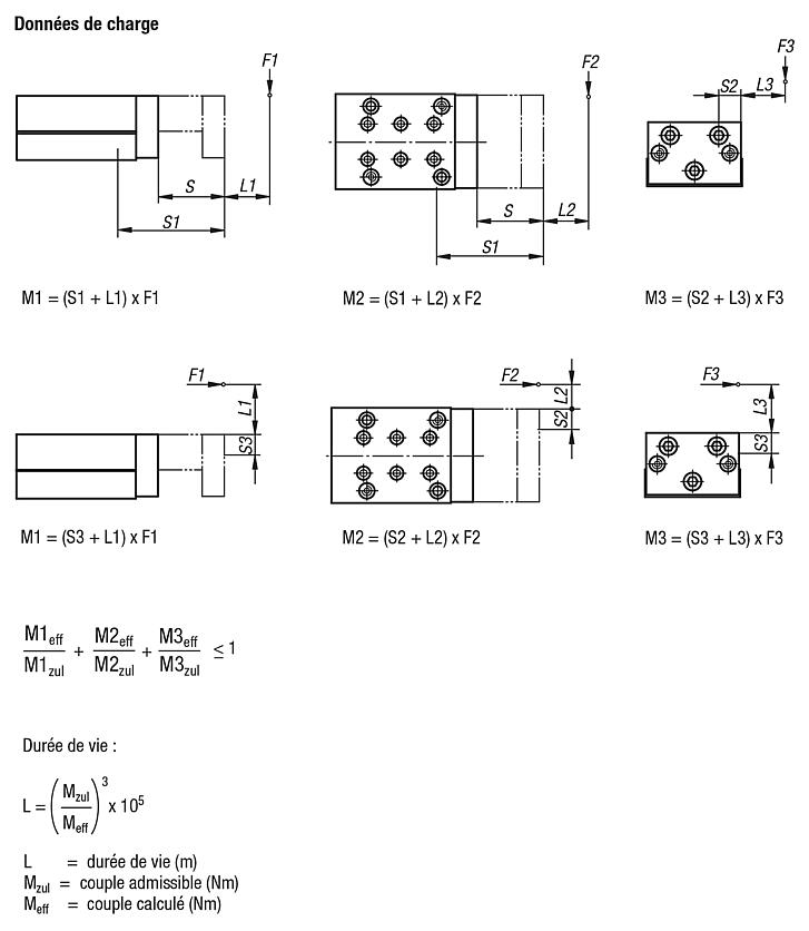 Module linéaire pneumatique à guidage sur rail