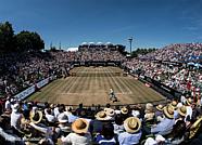 norelem is official partner of the MercedesCup 2018